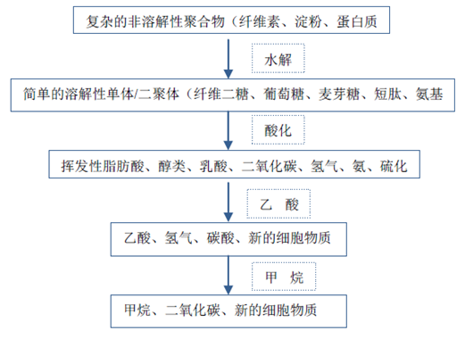 厭氧反應流程圖-華夏經緯市場調查公司